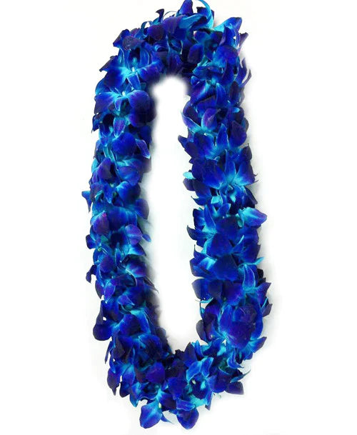 Orchid Graduation Lei 0360