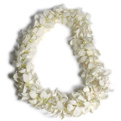 Orchid Graduation Lei 0360