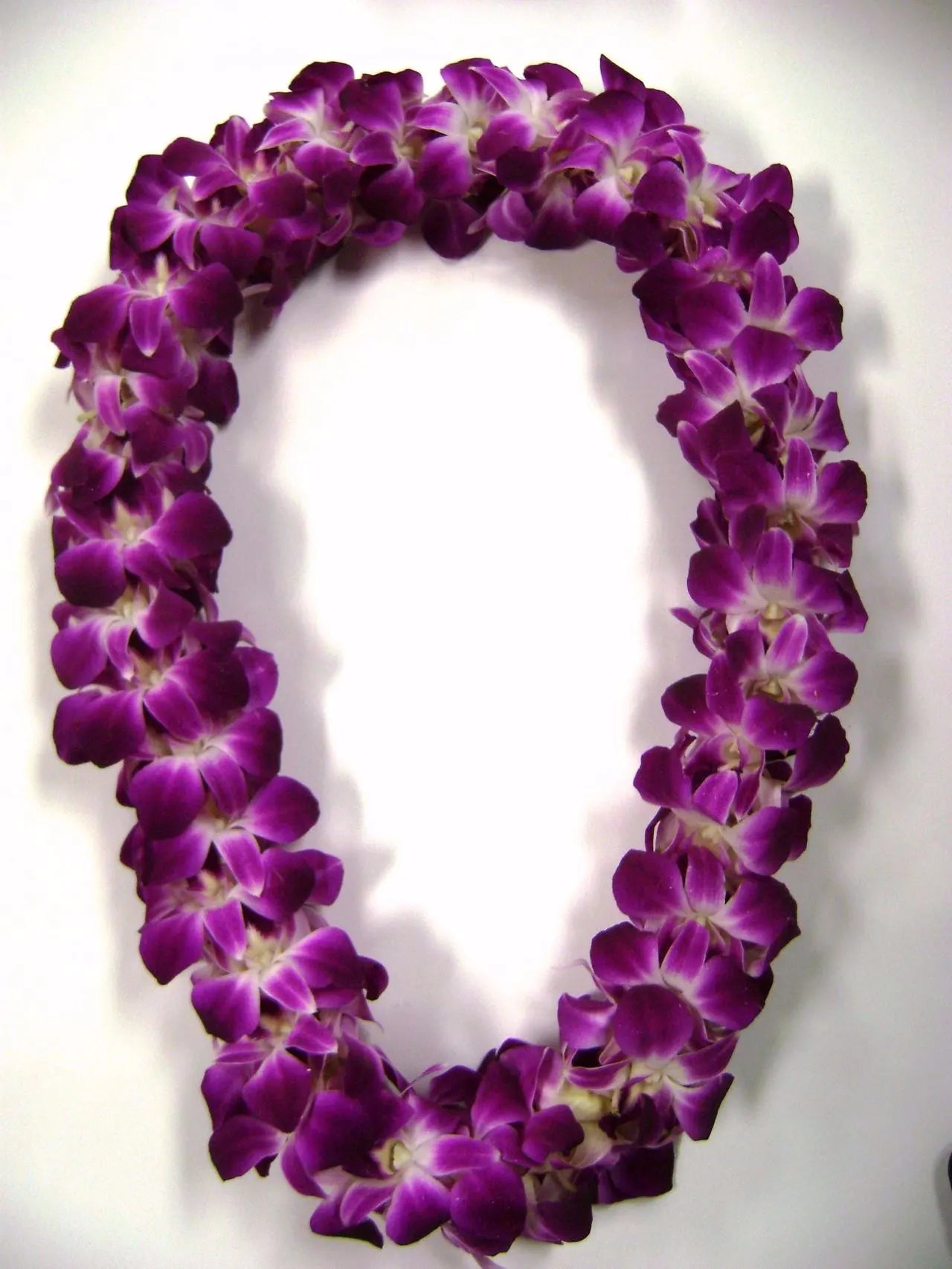 Orchid Graduation Lei 0360