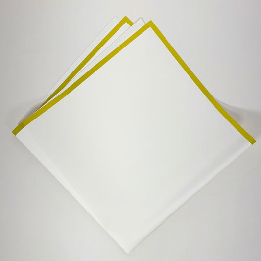 Solid w/Border Paper*