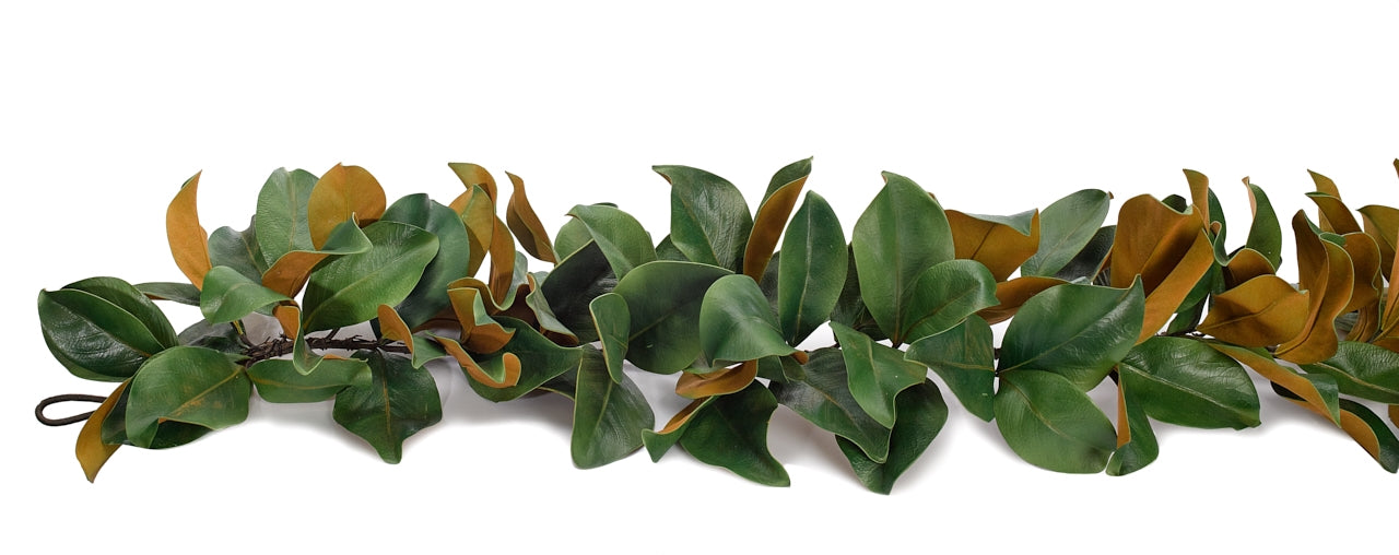 Magnolia 1333