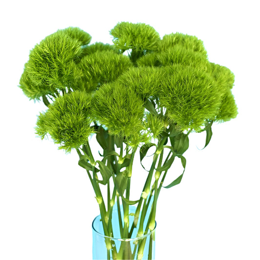 Green Ball 17*000